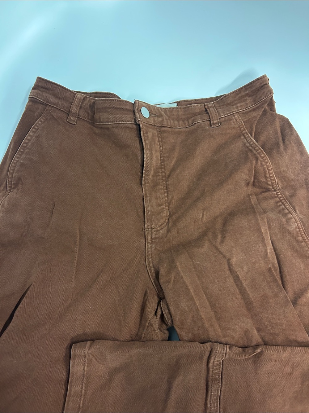 Everlane Brown Chino Pants